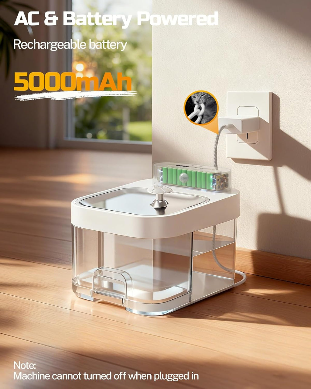 Cat Drinking Water Fountain